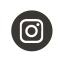 boton_instagram